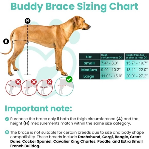 Dog Knee Brace for Torn ACL - Hind Leg‎ Support for Medium Breeds - Picture 8 of 8